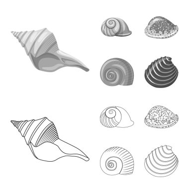 Hayvan ve dekorasyon işareti vektör tasarımı. Hayvan ve okyanus hisse senedi simgesi için web topluluğu.