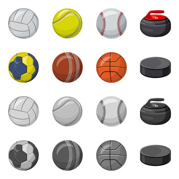 Objet isolé de sport et logo de balle. Ensemble de sport et symbole de stock athlétique pour le web . — Image vectorielle