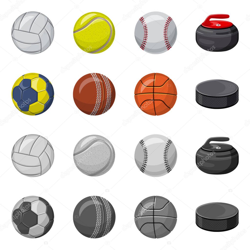 Vector design of sport and ball icon. Collection of sport and athletic stock vector illustration.
