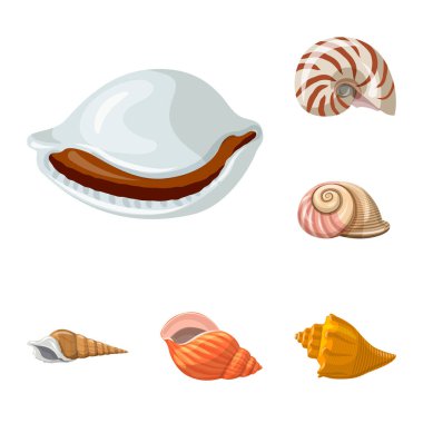 Deniz kabuğu ve yumuşakça simge vektör Illustration. Hisse senedi için deniz kabuğu ve deniz ürünleri vektör simge topluluğu.