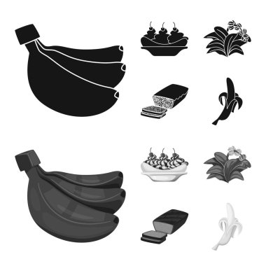 Doğal ve vejetaryen simge vektör Illustration. Hisse senedi için doğal ve yeme vektör simge kümesi.