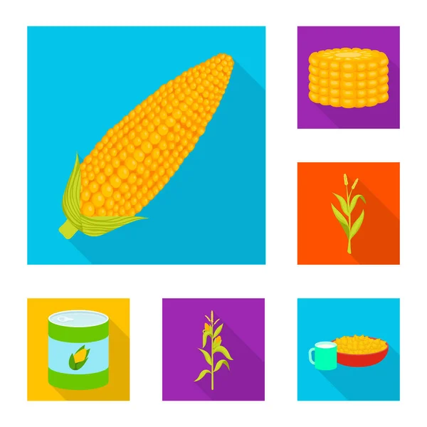 Progettazione vettoriale di campo di grano e cartello vegetale. Raccolta di campi di grano e stock simbolo vegetariano per il web . — Vettoriale Stock