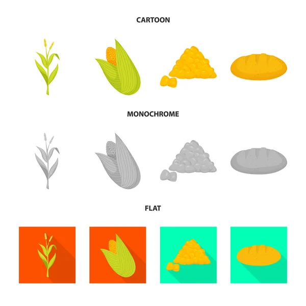 Vektorillustration von Maisfeld und Gemüselogo. Set aus Maisfeld und Vegetarier-Vektor-Symbol für Aktien. — Stockvektor