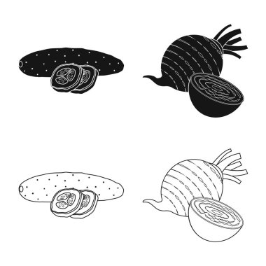 Sebze ve meyve simge vektör tasarımı. Sebze ve vejeteryan hisse senedi vektör çizim seti.