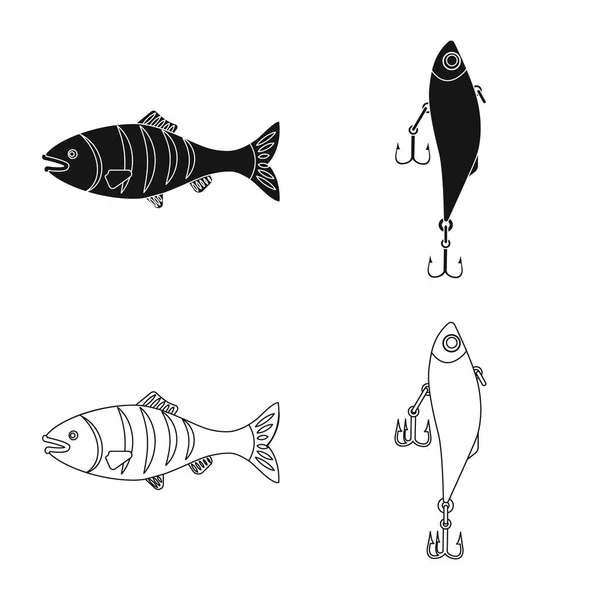 Oggetto isolato di pesce e simbolo di pesca. Serie di illustrazioni vettoriali di stock ittici e attrezzature . — Vettoriale Stock