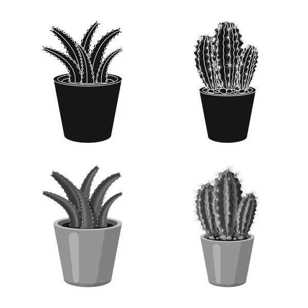 Vector ontwerp van pictogram cactus en pot. Set cactus en cactussen voorraad vectorillustratie. — Stockvector