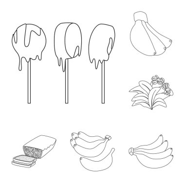 Vektör tasarım organik ve potasyum logosu. Ayarla, organik ve diyet web için hisse senedi simgesi.