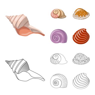 Hayvan ve dekorasyon simge vektör tasarımı. Web için hayvan ve okyanus hisse senedi simgesi kümesi.