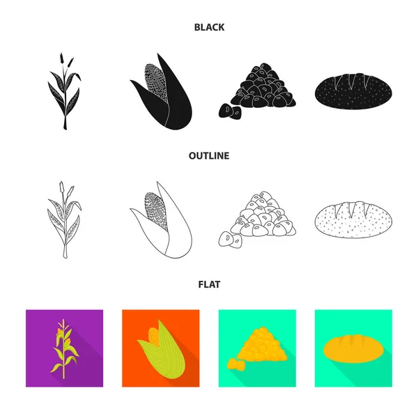 玉米地和蔬菜标志的向量例证。玉米地和素食种群向量的汇集例证. — 图库矢量图片