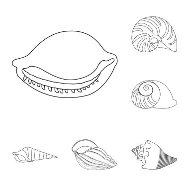 Egzotik yalıtılmış nesne ve deniz ürünleri oturum açın. Egzotik ve su hisse senedi vektör çizim topluluğu.