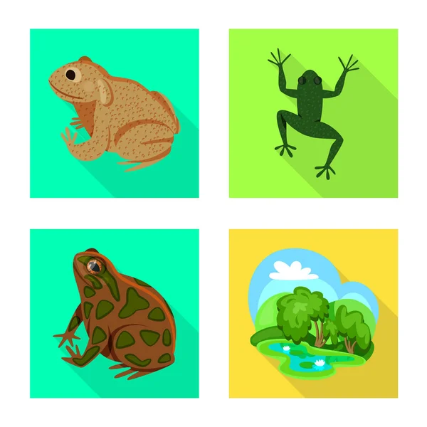 Isoleret objekt af dyreliv og moseikon. Sæt af dyreliv og reptil bestand symbol for web. – Stock-vektor