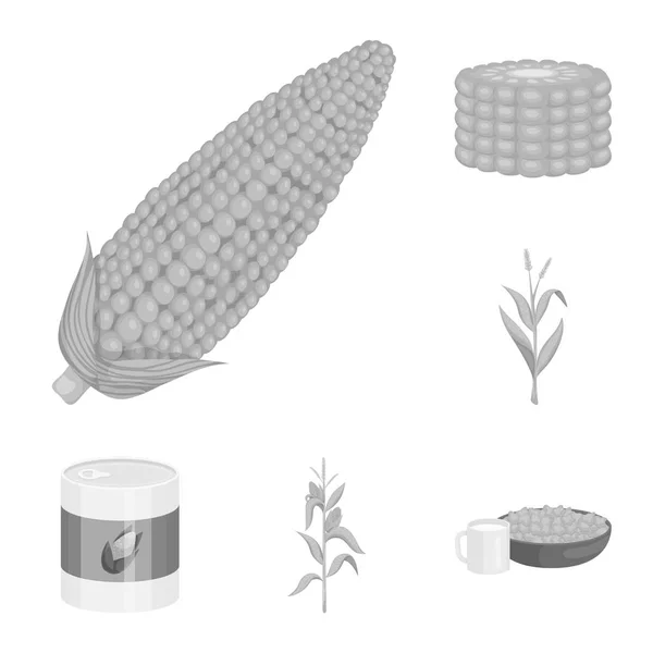 Design vettoriale dell'agricoltura e icona nutrizionale. Set di agricoltura e brodo vegetale simbolo per il web . — Vettoriale Stock
