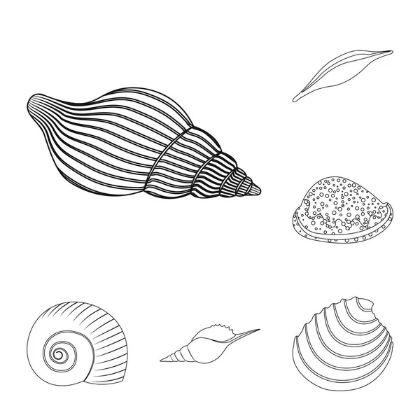 Diseño vectorial de icono exótico y mariscos. Conjunto de símbolos de stock exóticos y acuáticos para web . — Vector de stock