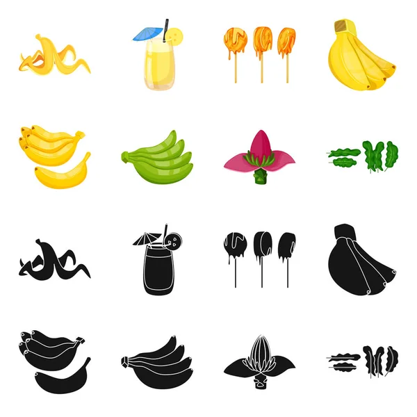 Diseño vectorial de signo natural y vegetariano. Colección de símbolo de stock natural y comestible para web . — Vector de stock