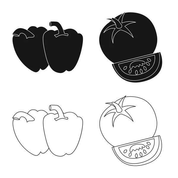Ilustração vetorial do logotipo vegetal e frutífero. Conjunto de vegetais e vegetariano estoque vetor ilustração . — Vetor de Stock