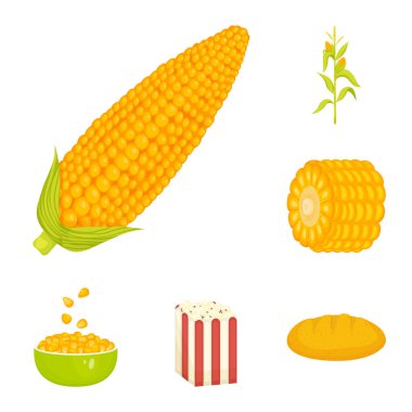 Vektör tasarım Mısır ve gıda işareti. Mısır ve Crop stok vektör çizim seti.