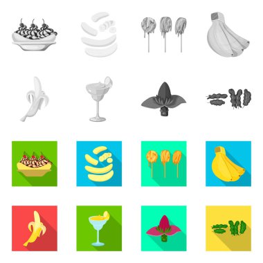 Doğal ve vejetaryen simge vektör tasarımı. Doğal ve yeme hisse senedi vektör çizim topluluğu.