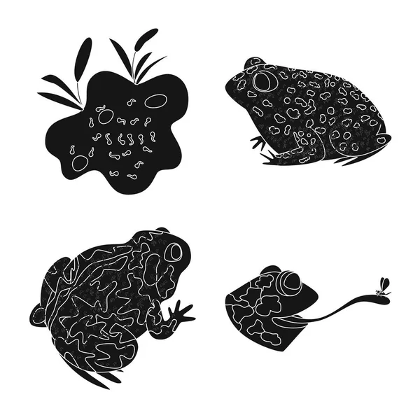 Diseño vectorial de fauna y signo de reptil. Conjunto de fauna y anuran vector icono para stock . — Archivo Imágenes Vectoriales