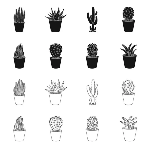 Vektorillustration av kaktus och potten ikonen. Uppsättning cactus och kaktusar vektor ikonen för lager. — Stock vektor