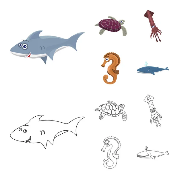 Objeto aislado del icono del mar y los animales. Conjunto de símbolo de stock marino y marino para web . — Vector de stock