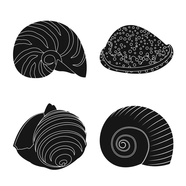 Geïsoleerde object van de natuur en de oceaan icoon. Verzameling van de natuur en mollusk stockvector illustratie. — Stockvector