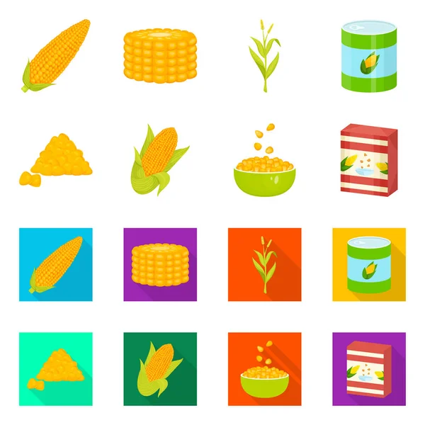 Ilustración vectorial del campo de maíz y el icono vegetal. Conjunto de maizal y vector vegetariano icono para stock . — Vector de stock