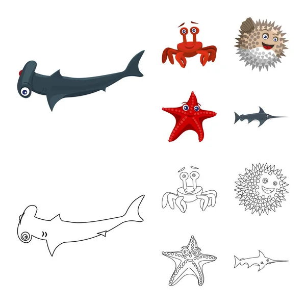 Diseño vectorial del logotipo marino y animal. Colección de símbolo de stock marino y marino para web . — Vector de stock