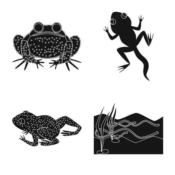 Objet isolé de la faune et du logo des reptiles. Collection d'icônes vectorielles faune et anoures en stock . — Image vectorielle
