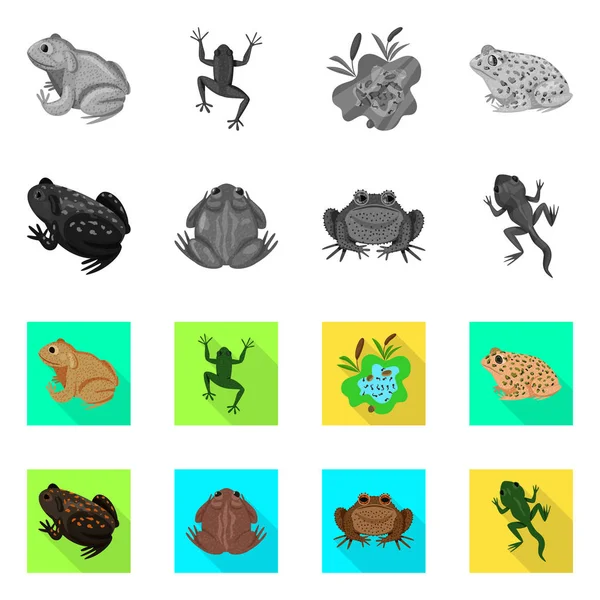 야생 동물과 늪지 아이콘의 벡터 디자인입니다. 세트,의, 야생 생물,와 ..., 파충류 스톡 벡터 일러스트. — 스톡 벡터