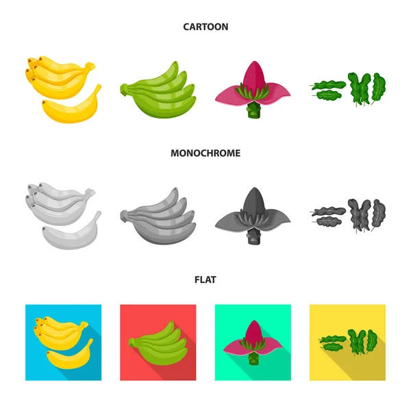 Diseño vectorial de icono natural y vegetariano. Colección de símbolo de stock natural y comestible para web . — Archivo Imágenes Vectoriales