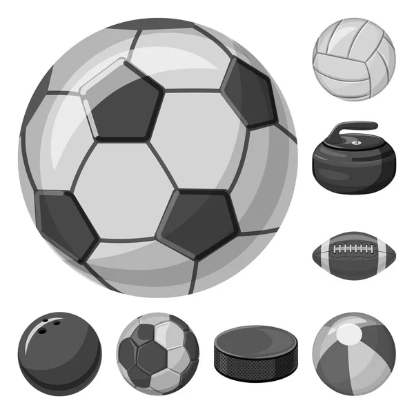 Izolovaný objekt sport a míč loga. Sada sportovních a atletických vektorové ilustrace. — Stockový vektor