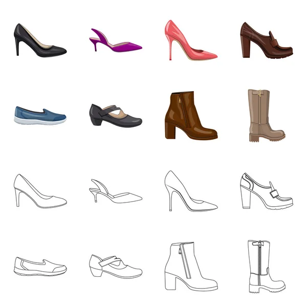 Objeto aislado de calzado y logotipo de mujer. Set de calzado y pie vector icono para stock . — Archivo Imágenes Vectoriales