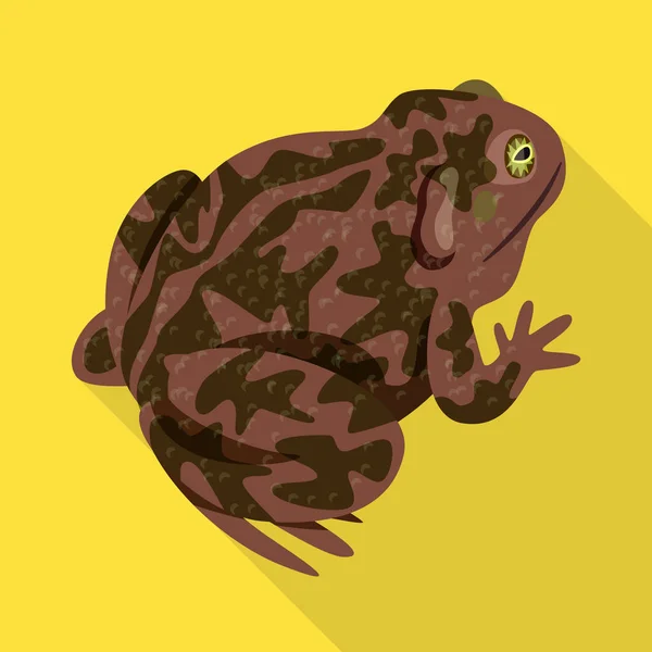 Изолированный объект символа жабы и биологии. Коллекция жаб и тропических символов запасов для паутины . — стоковый вектор