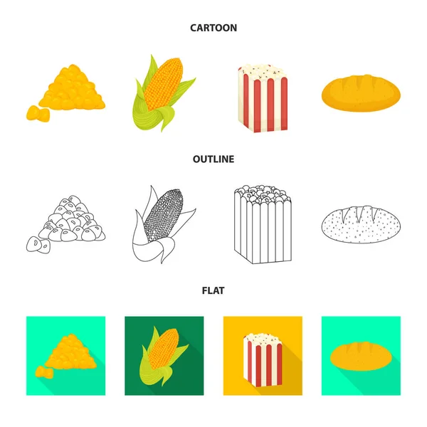 Ilustração vetorial do campo de milho e ícone vegetal. Conjunto de milheiral e símbolo de estoque vegetariano para web . — Vetor de Stock