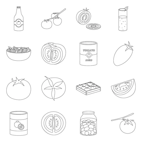 Objeto aislado de tomate y el icono de la dieta. Colección de ilustración de vector de stock de tomate y agricultura . — Vector de stock