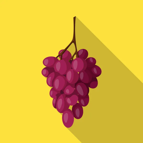 Ilustración vectorial de racimo y signo de uva. Colección de racimo e icono de vector de vino para stock . — Vector de stock