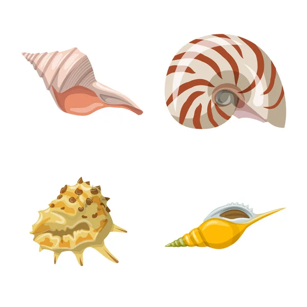 Vector ontwerp van Seashell en mollusk icon. Set van schelp en zeevruchten vector icoon voor voorraad. — Stockvector