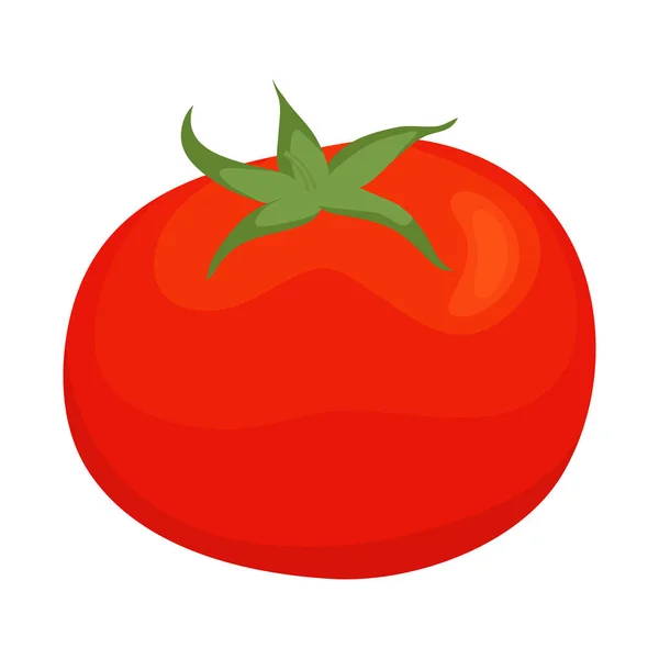 Diseño vectorial de tomate y signo rojo. Colección de tomate y vegana vector de stock ilustración . — Vector de stock