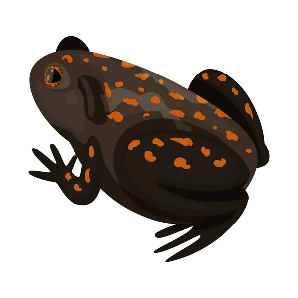 Ізольований об'єкт жаби та тропічного логотипу. Набір жаби та екології Векторна піктограма для запасів . — стоковий вектор