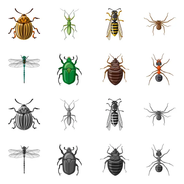 Diseño vectorial del icono de insectos y moscas. Colección de insectos y elemento vector icono para stock . — Archivo Imágenes Vectoriales