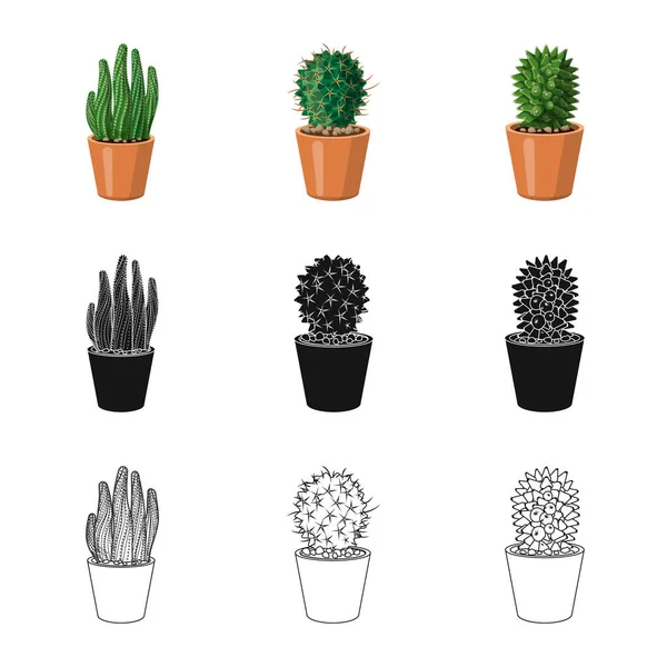 Vektorillustration von Kaktus und Topfsymbol. Set von Kakteen und Kakteen Aktiensymbol für Web. — Stockvektor