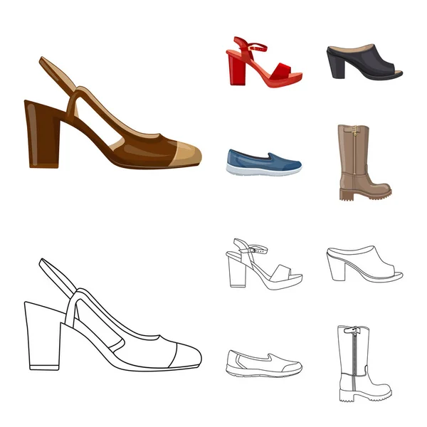 Objeto aislado de calzado y símbolo de mujer. Conjunto de calzado y pie símbolo de stock para web . — Vector de stock