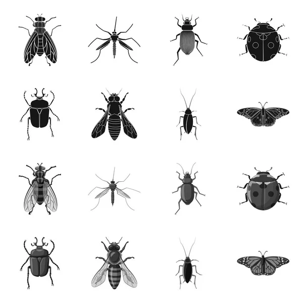 곤충과 비행 로그인의 벡터 그림입니다. 주식에 대 한 곤충 및 요소 벡터 아이콘 세트. — 스톡 벡터