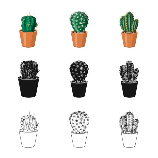 Objeto aislado de cactus y símbolo del pote. Conjunto de cactus y cactus vector icono para stock . — Archivo Imágenes Vectoriales