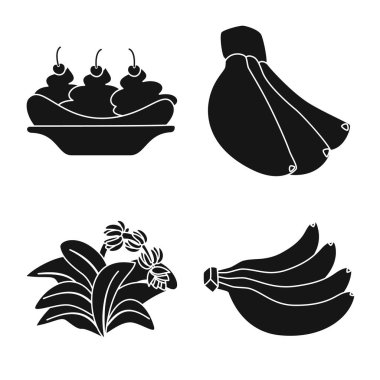 Vitamin ve yeme sembolü izole nesne. Stok için vitamin ve olgun vektör simgesi seti.