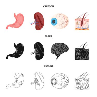 Vücut ve insan işareti vektör çizimi. Vücut ve hisse senedi için tıbbi vektör ikon koleksiyonu.