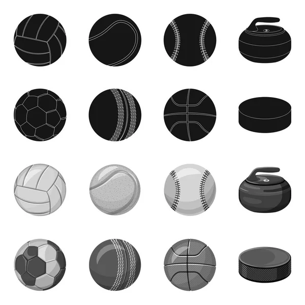 Diseño vectorial del icono del deporte y la pelota. Conjunto de deporte y símbolo de stock atlético para web . — Vector de stock