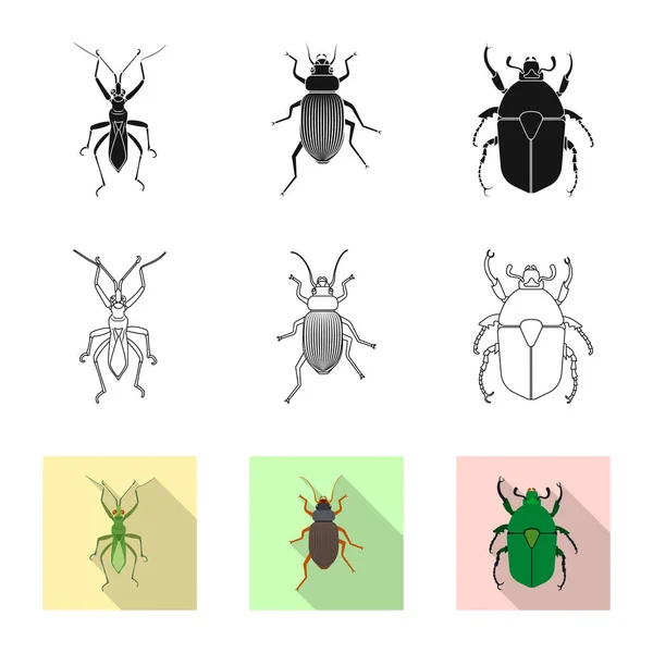 Objeto aislado de insecto y signo de mosca. Colección de insectos y símbolo de stock de elementos para la web . — Vector de stock