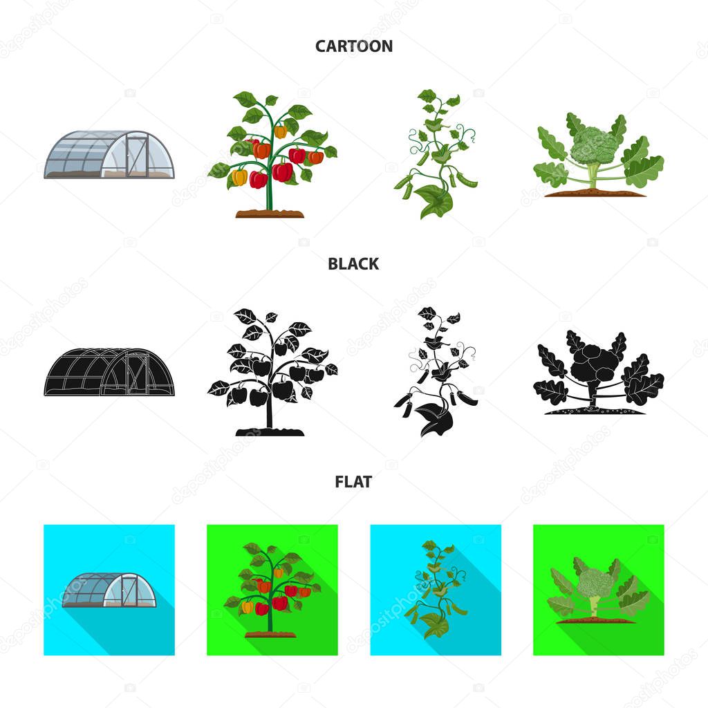 Vector illustration of greenhouse and plant sign. Collection of greenhouse and garden vector icon for stock.