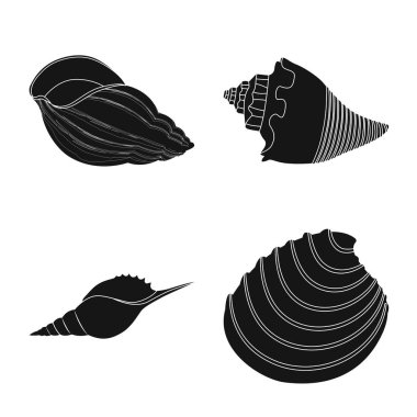 Doğa ve okyanus logosu vektör tasarımı. Web için doğa ve yumuşakça stok sembolü kümesi.